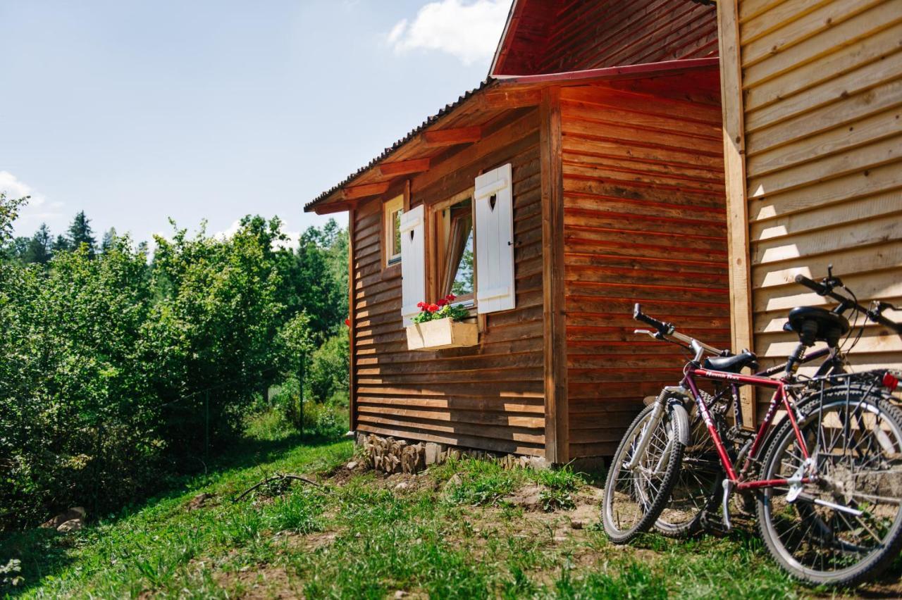 Homorod Lodge Băile Homorod Buitenkant foto