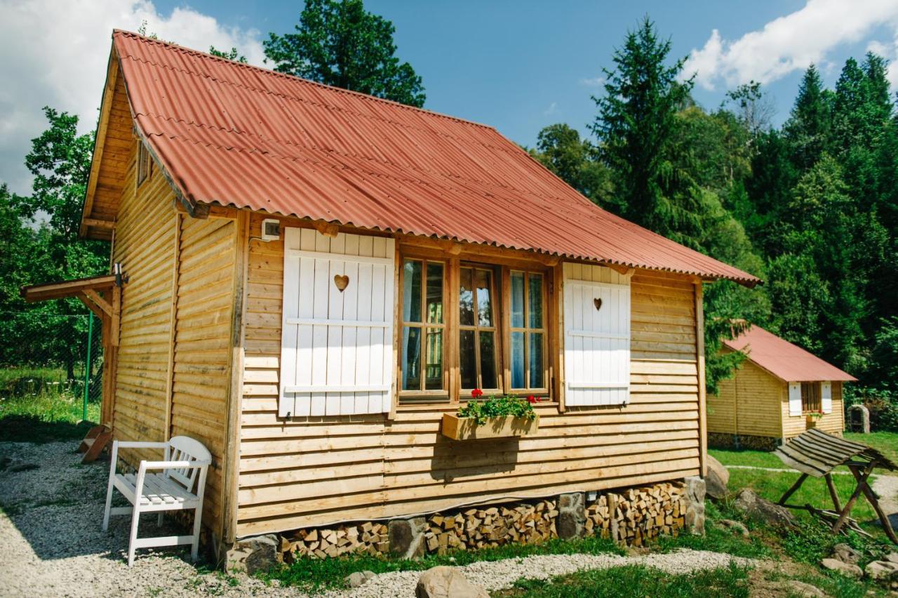 Homorod Lodge Băile Homorod Buitenkant foto