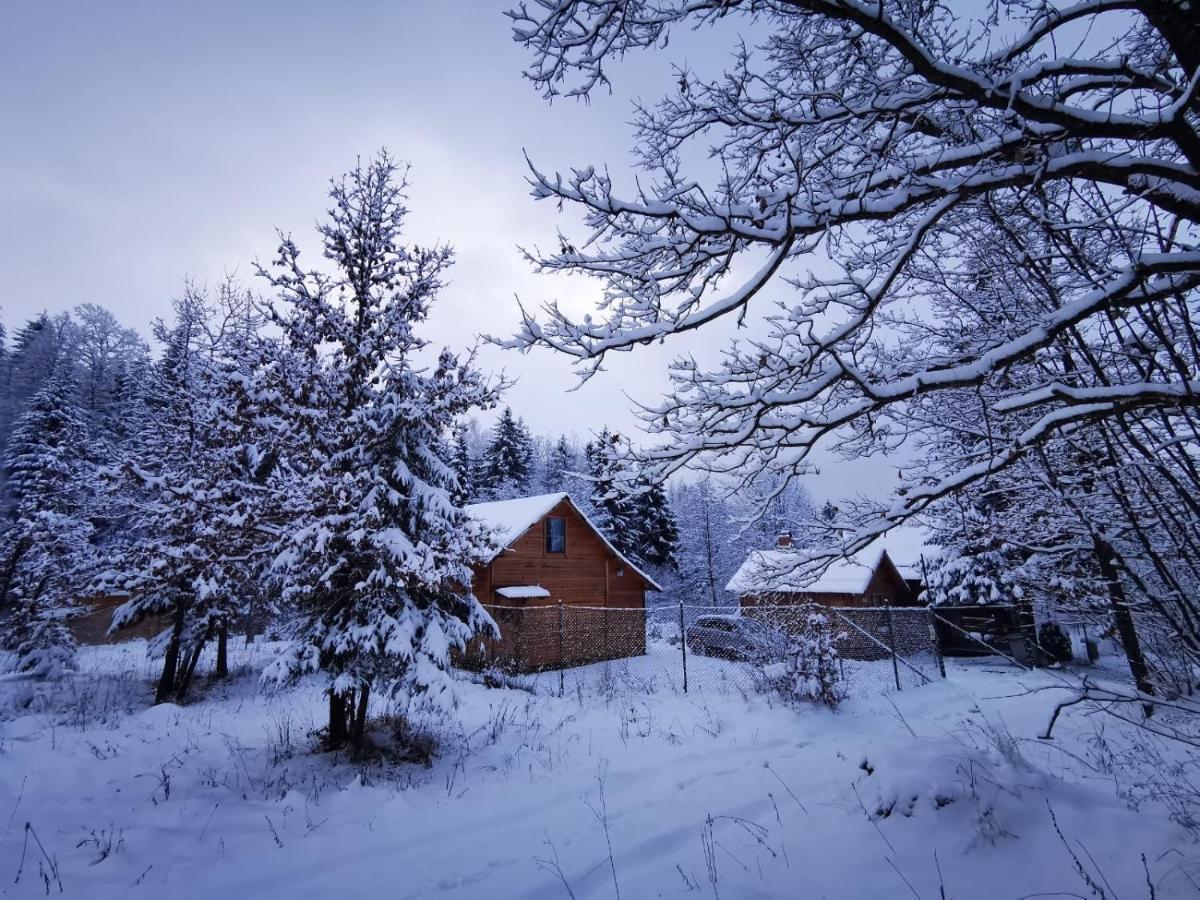 Homorod Lodge Băile Homorod Buitenkant foto